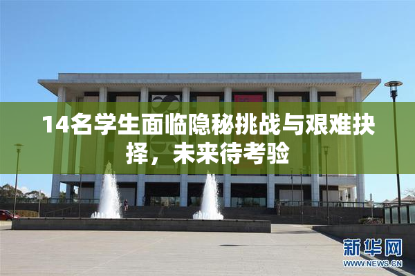14名学生面临隐秘挑战与艰难抉择，未来待考验