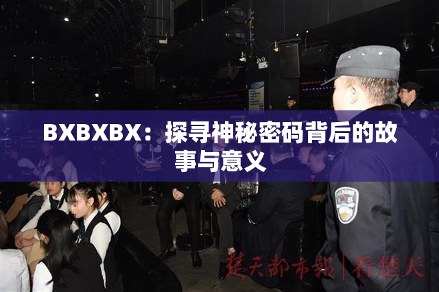 BXBXBX：探寻神秘密码背后的故事与意义