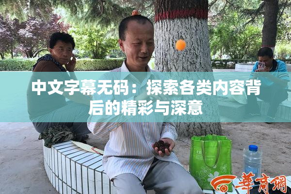 中文字幕无码：探索各类内容背后的精彩与深意