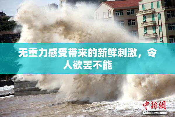 无重力感受带来的新鲜刺激，令人欲罢不能
