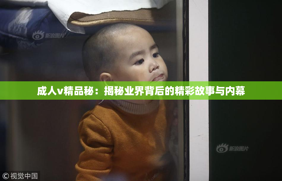 成人v精品秘：揭秘业界背后的精彩故事与内幕