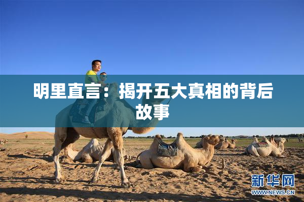 明里直言：揭开五大真相的背后故事