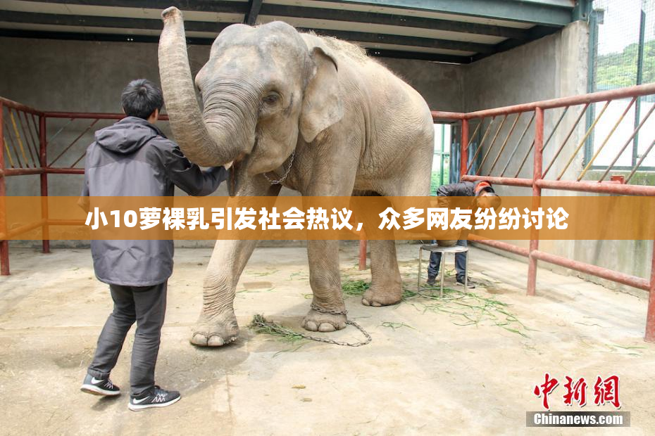 小10萝裸乳引发社会热议，众多网友纷纷讨论