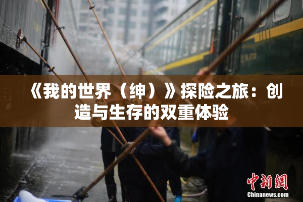 《我的世界（绅）》探险之旅：创造与生存的双重体验