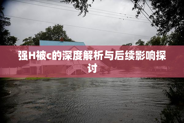 强H被c的深度解析与后续影响探讨