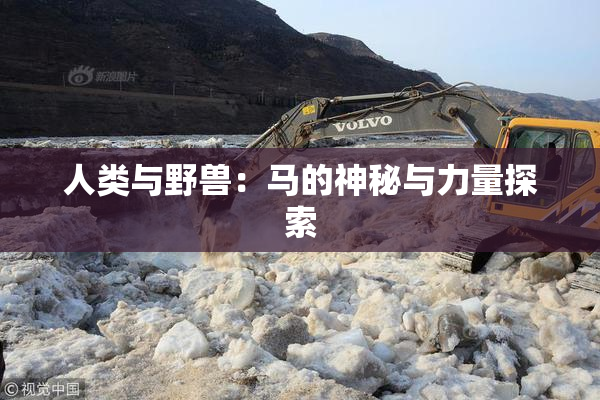 人类与野兽：马的神秘与力量探索