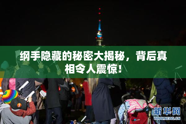 纲手隐藏的秘密大揭秘，背后真相令人震惊！