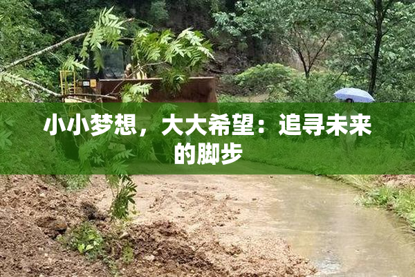 小小梦想，大大希望：追寻未来的脚步