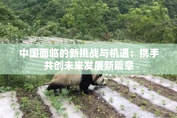 中国面临的新挑战与机遇：携手共创未来发展新篇章