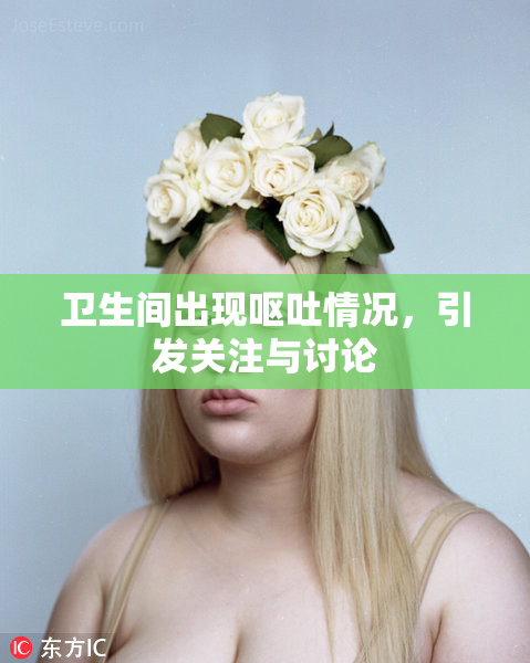 卫生间出现呕吐情况，引发关注与讨论