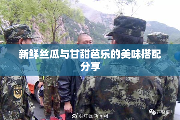 新鲜丝瓜与甘甜芭乐的美味搭配分享