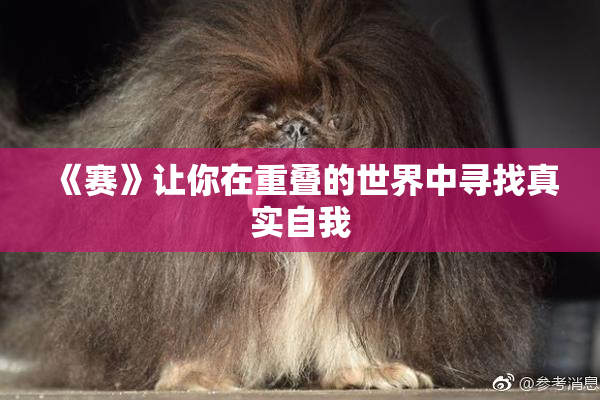 《赛》让你在重叠的世界中寻找真实自我