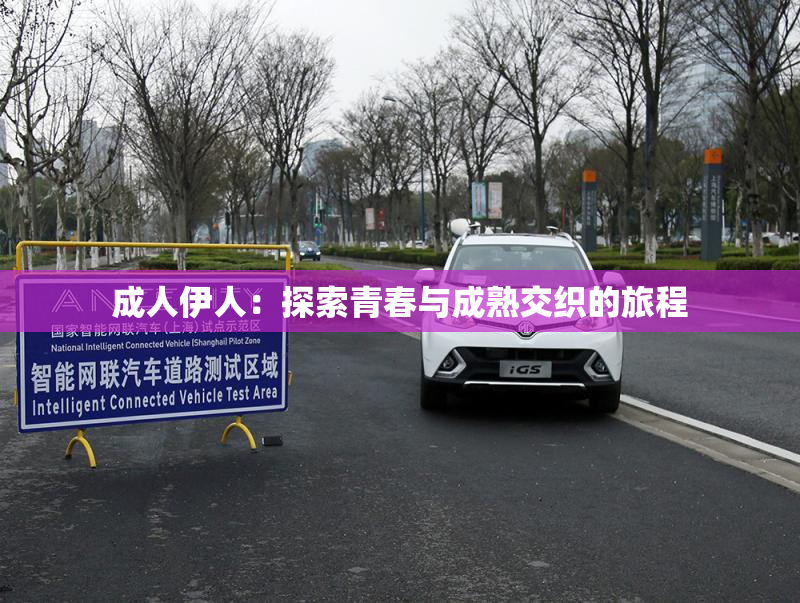 成人伊人：探索青春与成熟交织的旅程