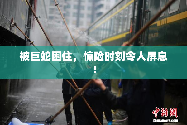 被巨蛇困住，惊险时刻令人屏息！