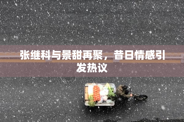 张继科与景甜再聚，昔日情感引发热议