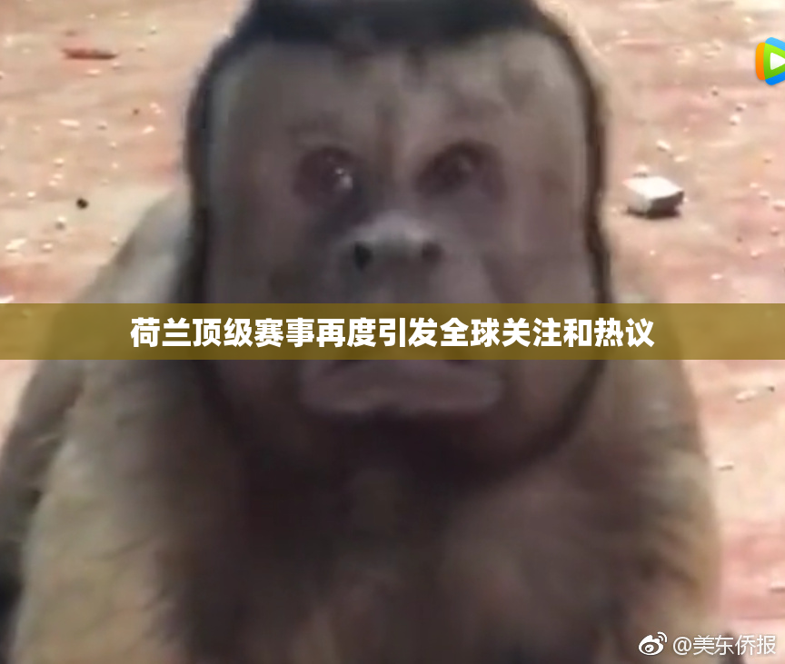 荷兰顶级赛事再度引发全球关注和热议
