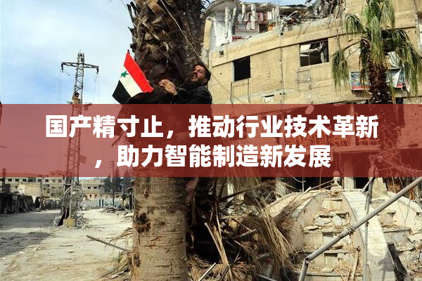 国产精寸止，推动行业技术革新，助力智能制造新发展