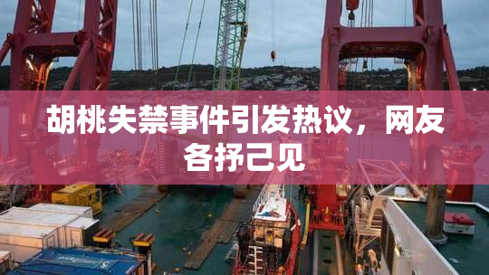 胡桃失禁事件引发热议，网友各抒己见