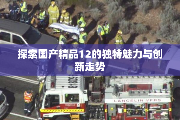 探索国产精品12的独特魅力与创新走势