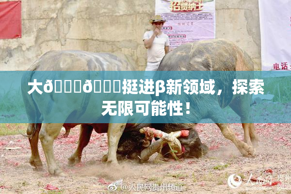 大🐔🐔挺进β新领域，探索无限可能性！
