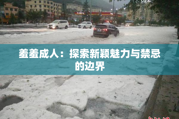 羞羞成人：探索新颖魅力与禁忌的边界
