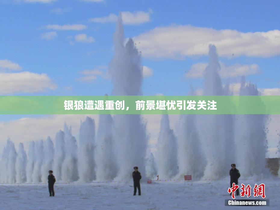 银狼遭遇重创，前景堪忧引发关注