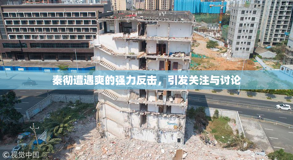 秦彻遭遇爽的强力反击，引发关注与讨论