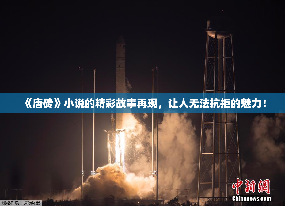 《唐砖》小说的精彩故事再现，让人无法抗拒的魅力！