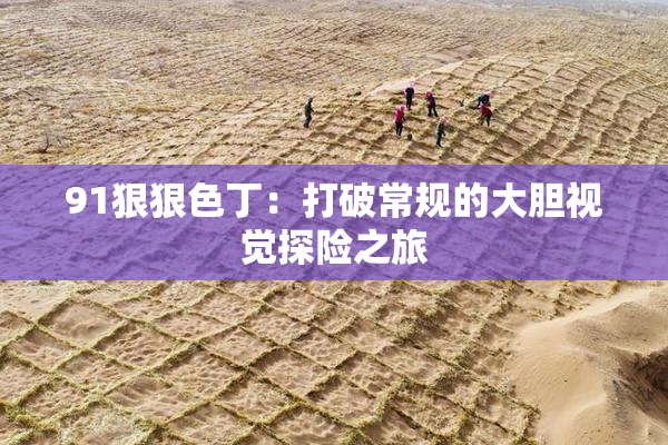 91狠狠色丁：打破常规的大胆视觉探险之旅