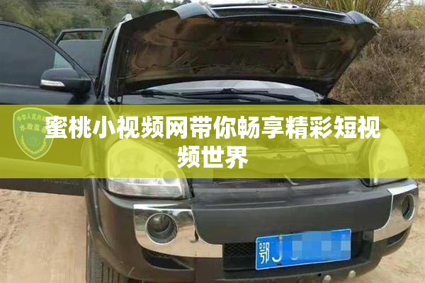 蜜桃小视频网带你畅享精彩短视频世界