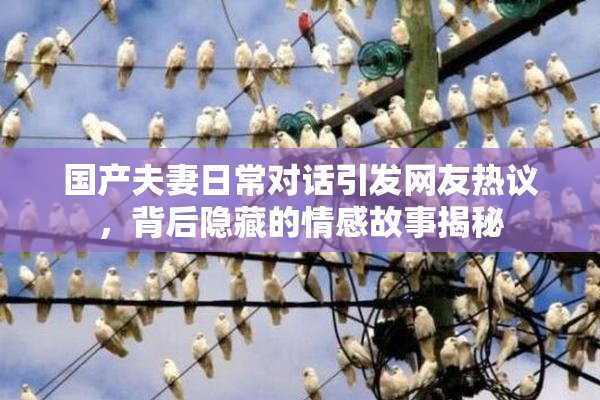 国产夫妻日常对话引发网友热议，背后隐藏的情感故事揭秘