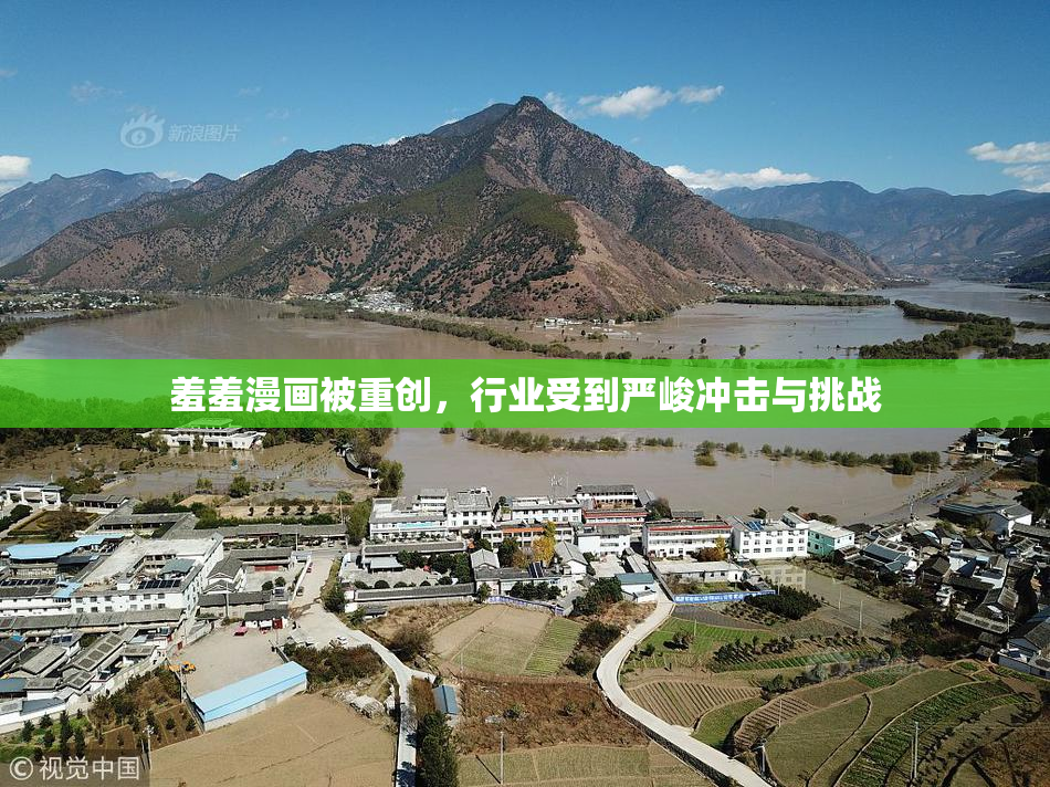 羞羞漫画被重创，行业受到严峻冲击与挑战