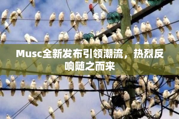Musc全新发布引领潮流，热烈反响随之而来