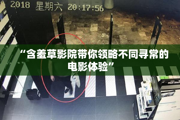 “含羞草影院带你领略不同寻常的电影体验”