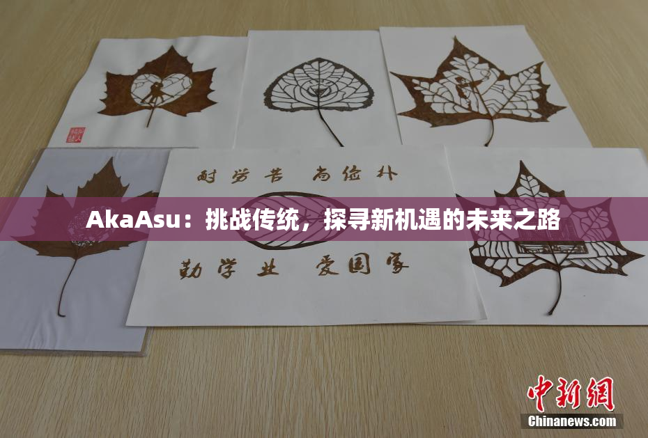 AkaAsu：挑战传统，探寻新机遇的未来之路