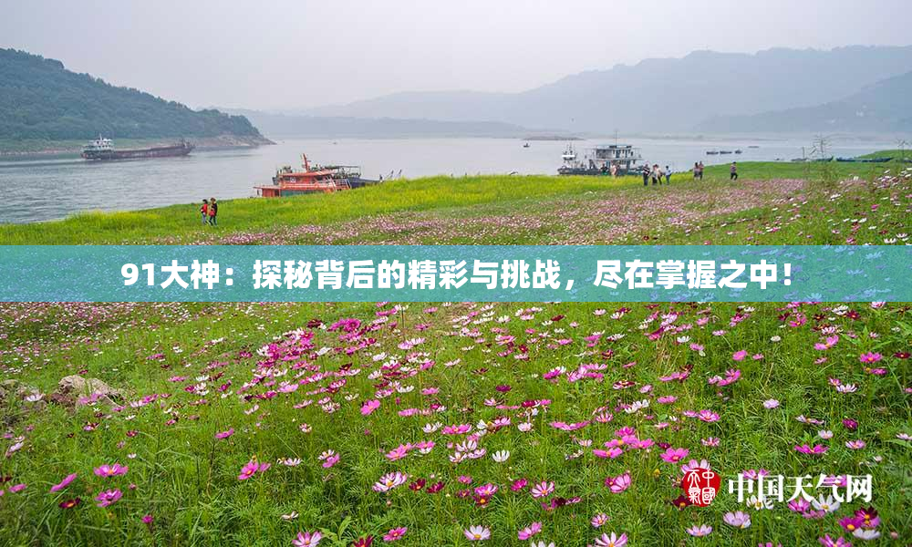 91大神：探秘背后的精彩与挑战，尽在掌握之中！