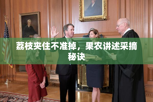 荔枝夹住不准掉，果农讲述采摘秘诀