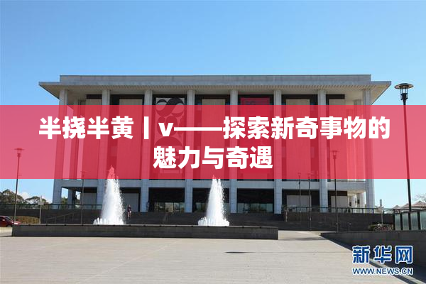半挠半黄丨v——探索新奇事物的魅力与奇遇