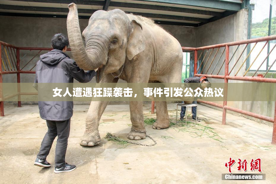 女人遭遇狂躁袭击，事件引发公众热议