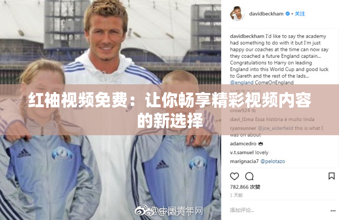 红袖视频免费：让你畅享精彩视频内容的新选择