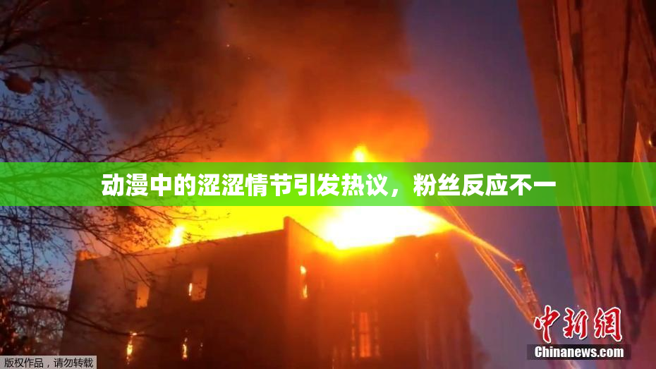 动漫中的涩涩情节引发热议，粉丝反应不一