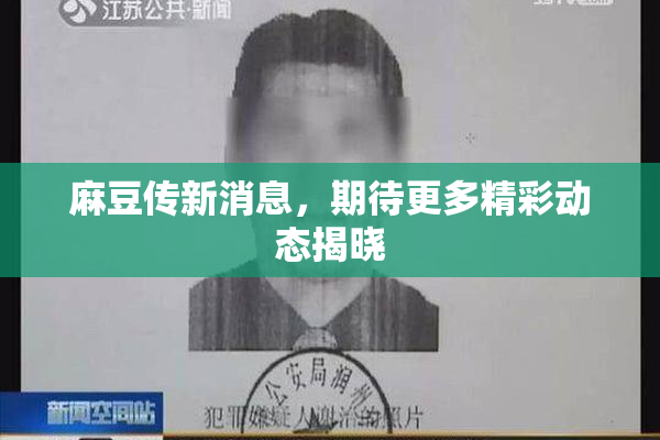 麻豆传新消息，期待更多精彩动态揭晓