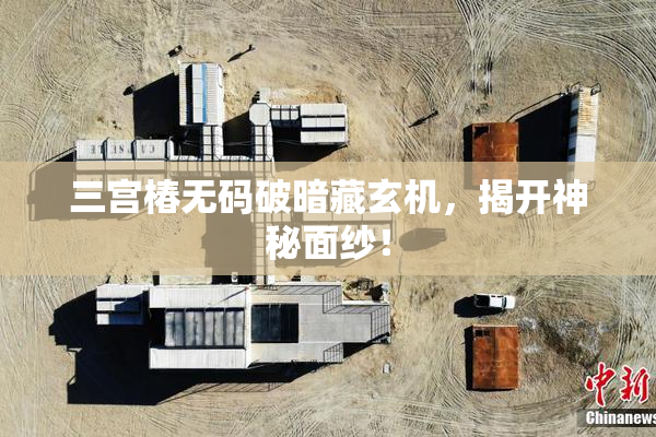 三宫椿无码破暗藏玄机，揭开神秘面纱！