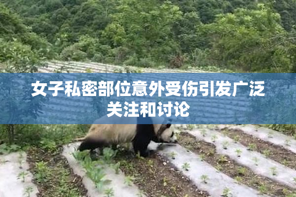 女子私密部位意外受伤引发广泛关注和讨论