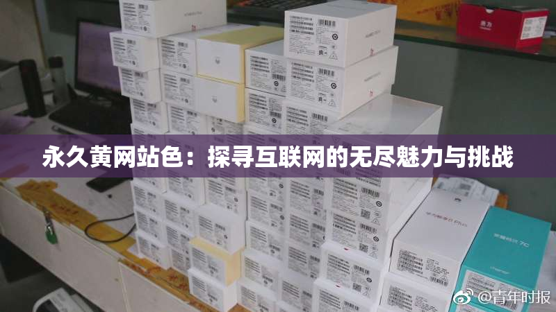 永久黄网站色：探寻互联网的无尽魅力与挑战