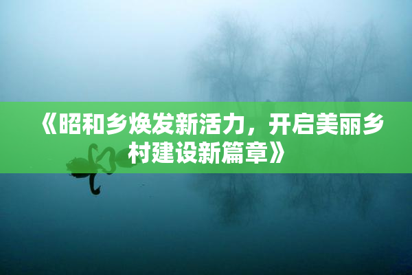 《昭和乡焕发新活力，开启美丽乡村建设新篇章》