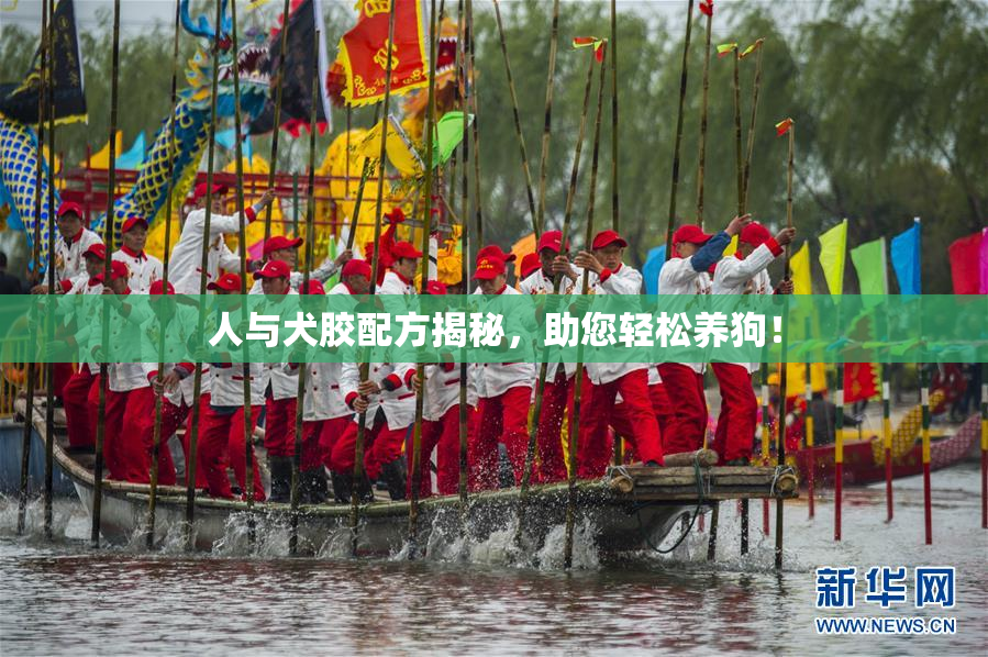 人与犬胶配方揭秘，助您轻松养狗！
