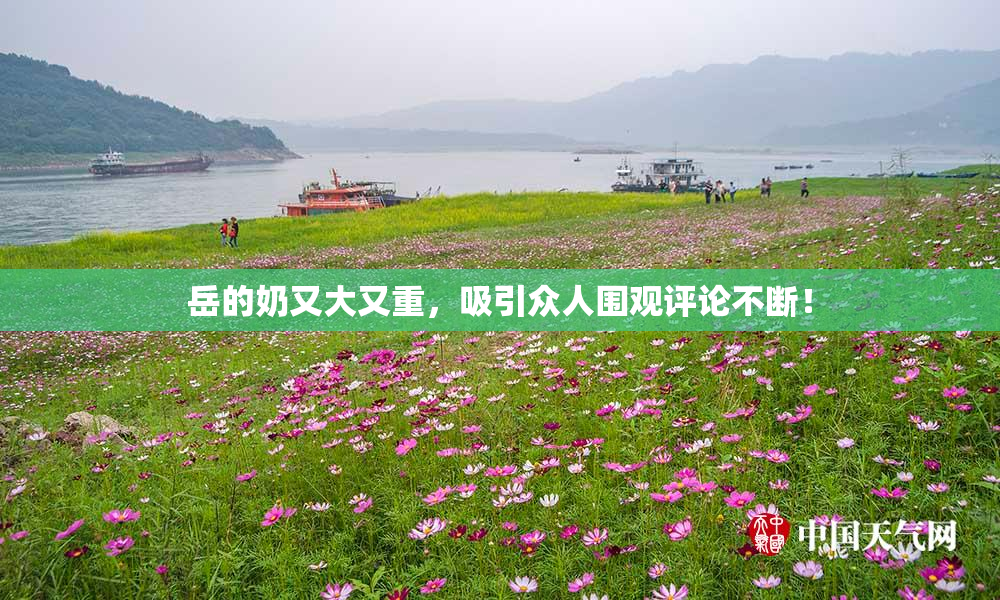 岳的奶又大又重，吸引众人围观评论不断！