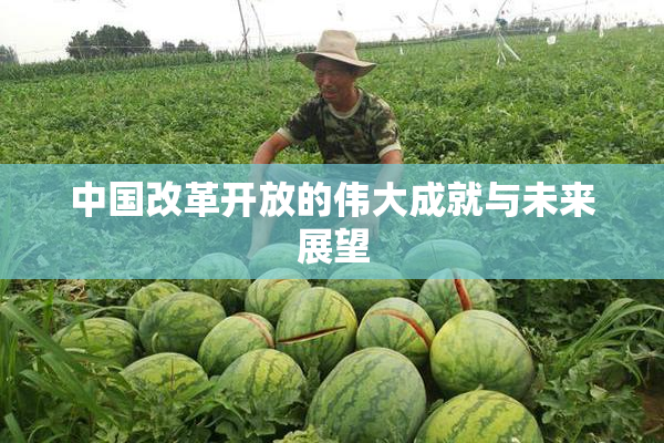 中国改革开放的伟大成就与未来展望