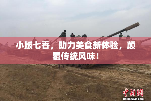 小版七香，助力美食新体验，颠覆传统风味！